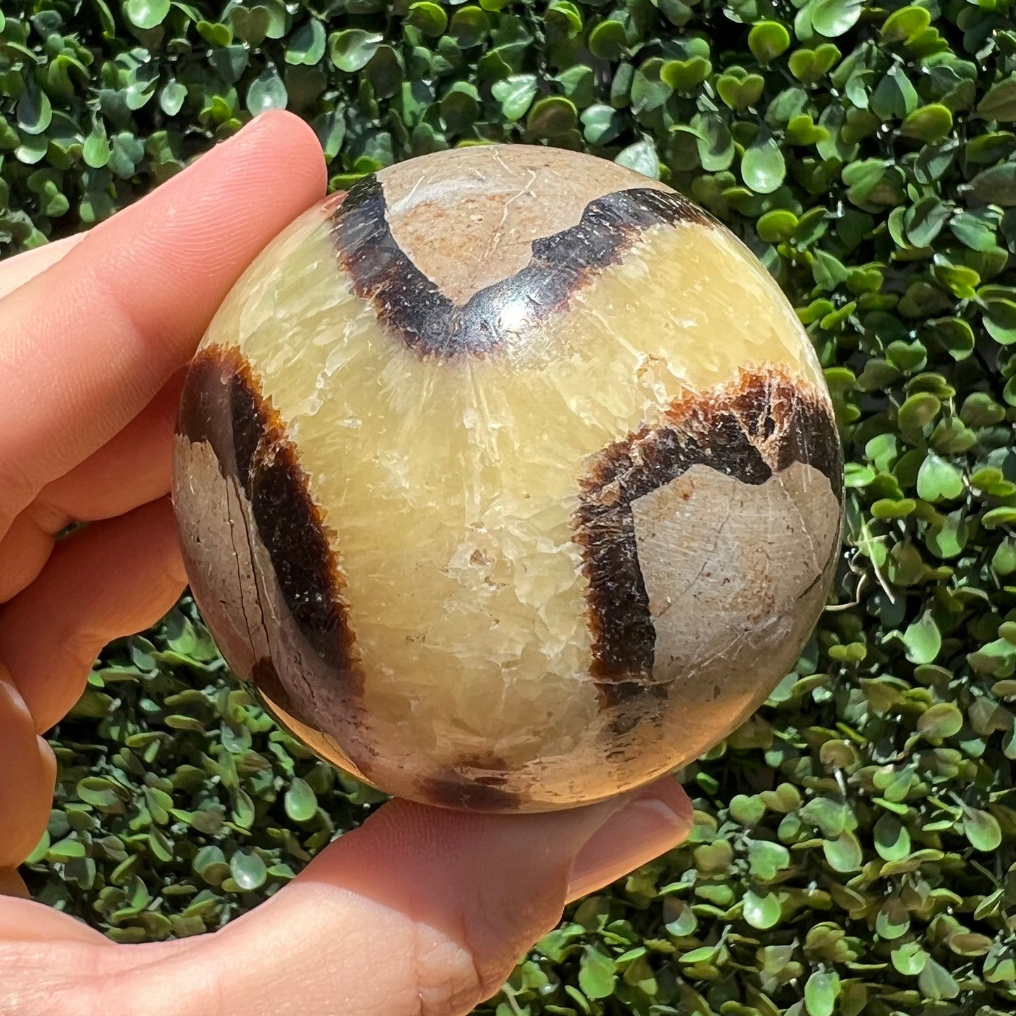 Septarian Yellow Calcite Sphere