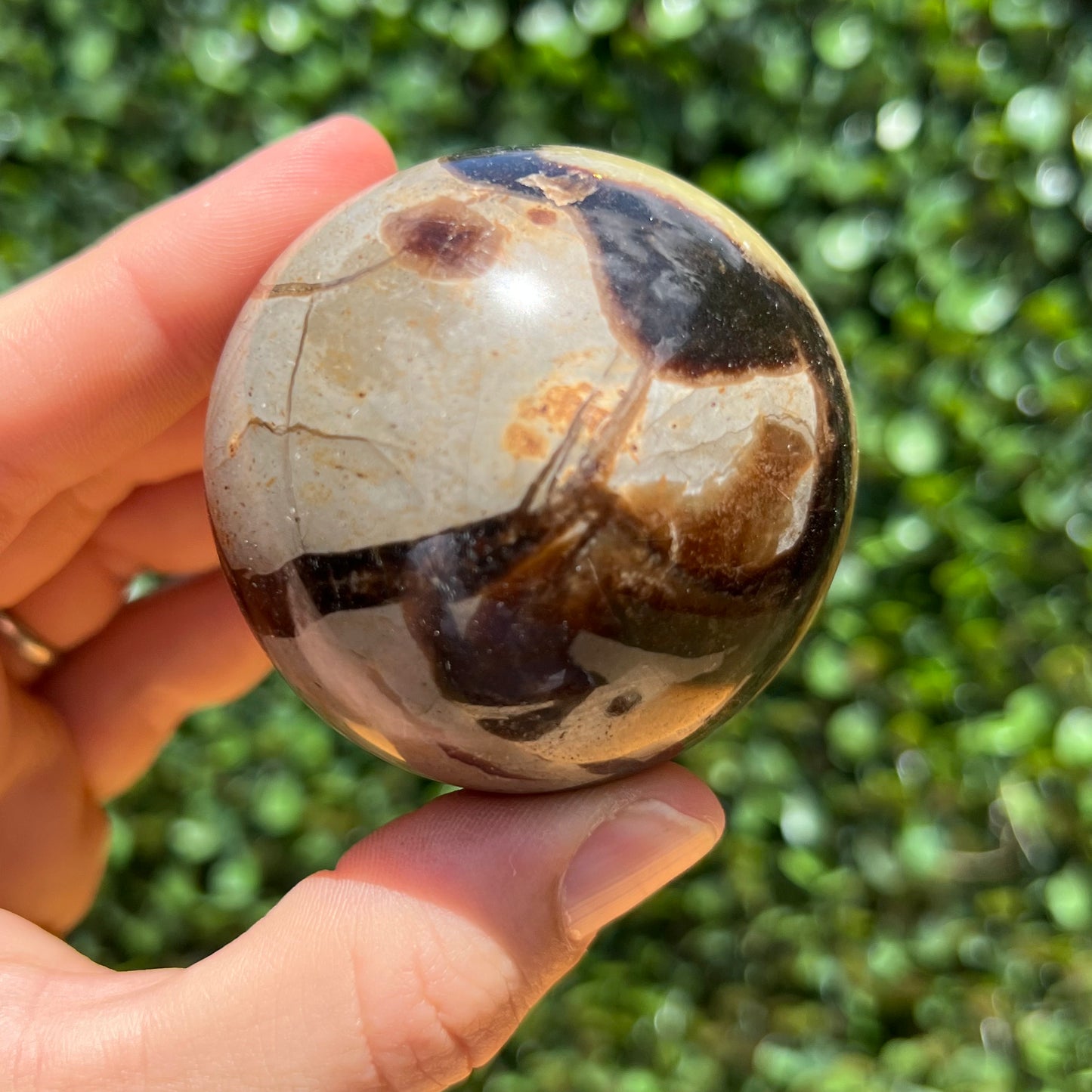 Septarian Yellow Calcite Sphere