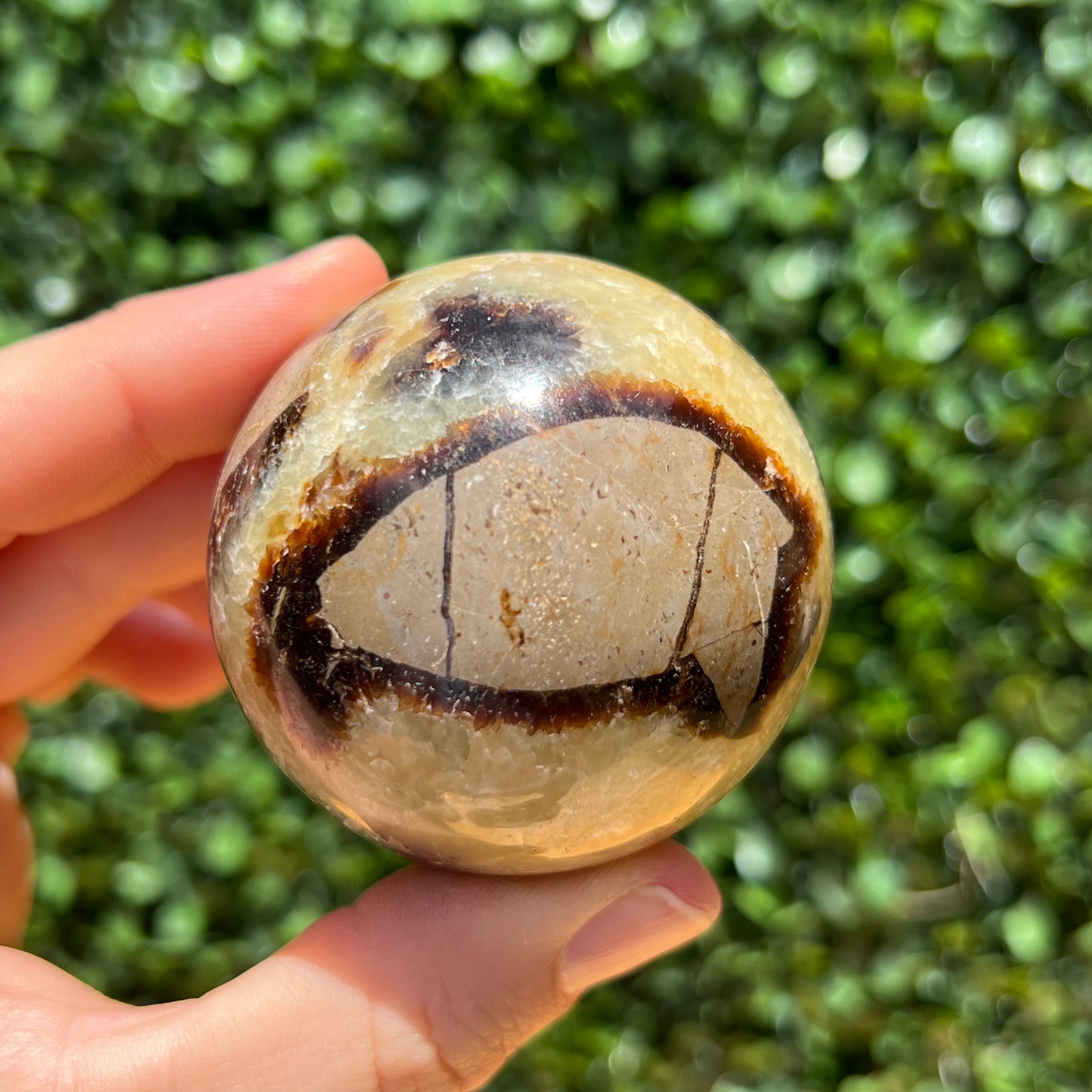 Septarian Yellow Calcite Sphere