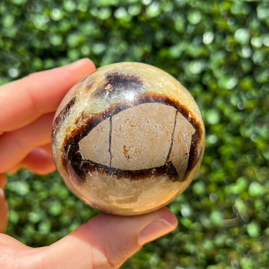 Septarian Yellow Calcite Sphere