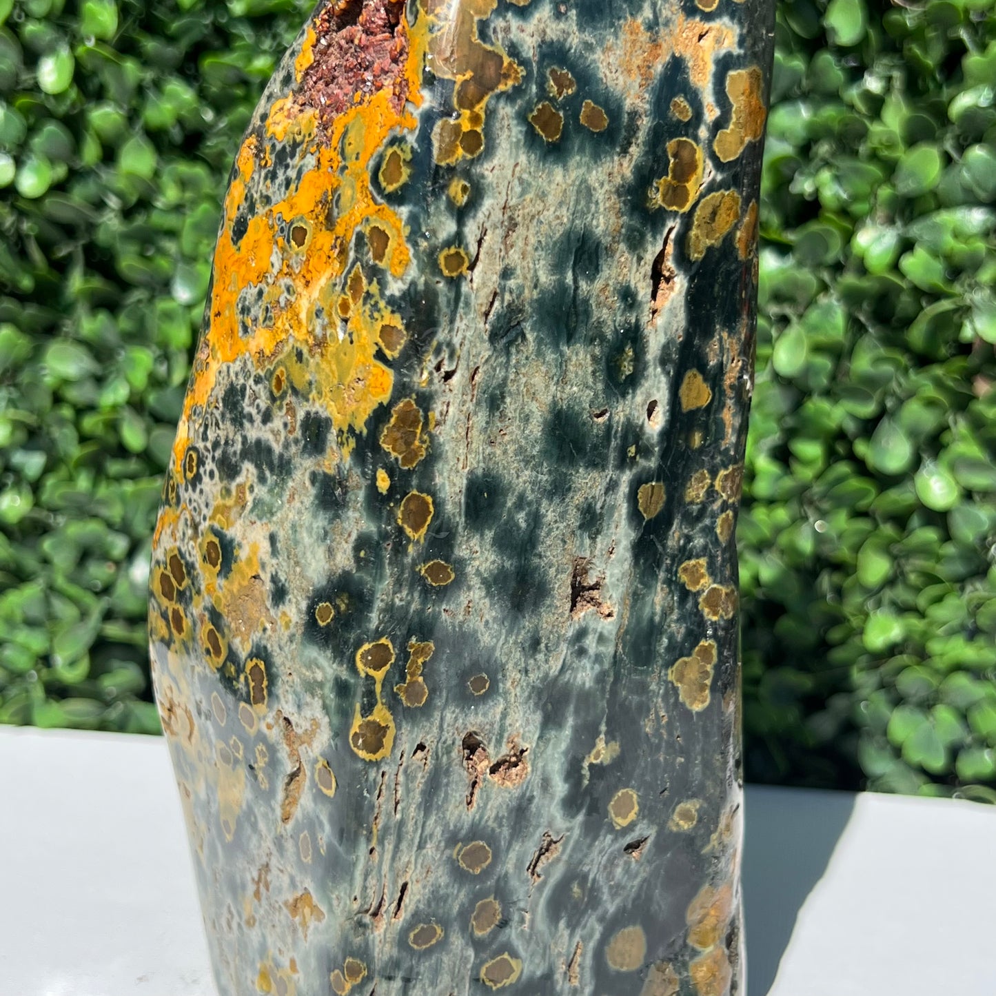 Ocean Jasper Free Form