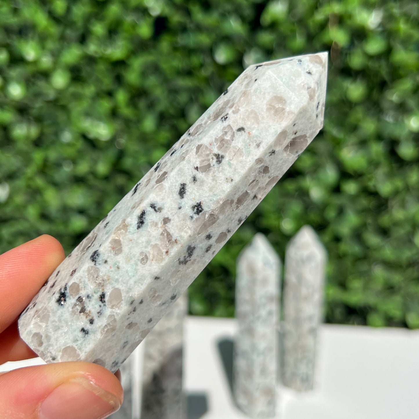 Kiwi Jasper Point’s