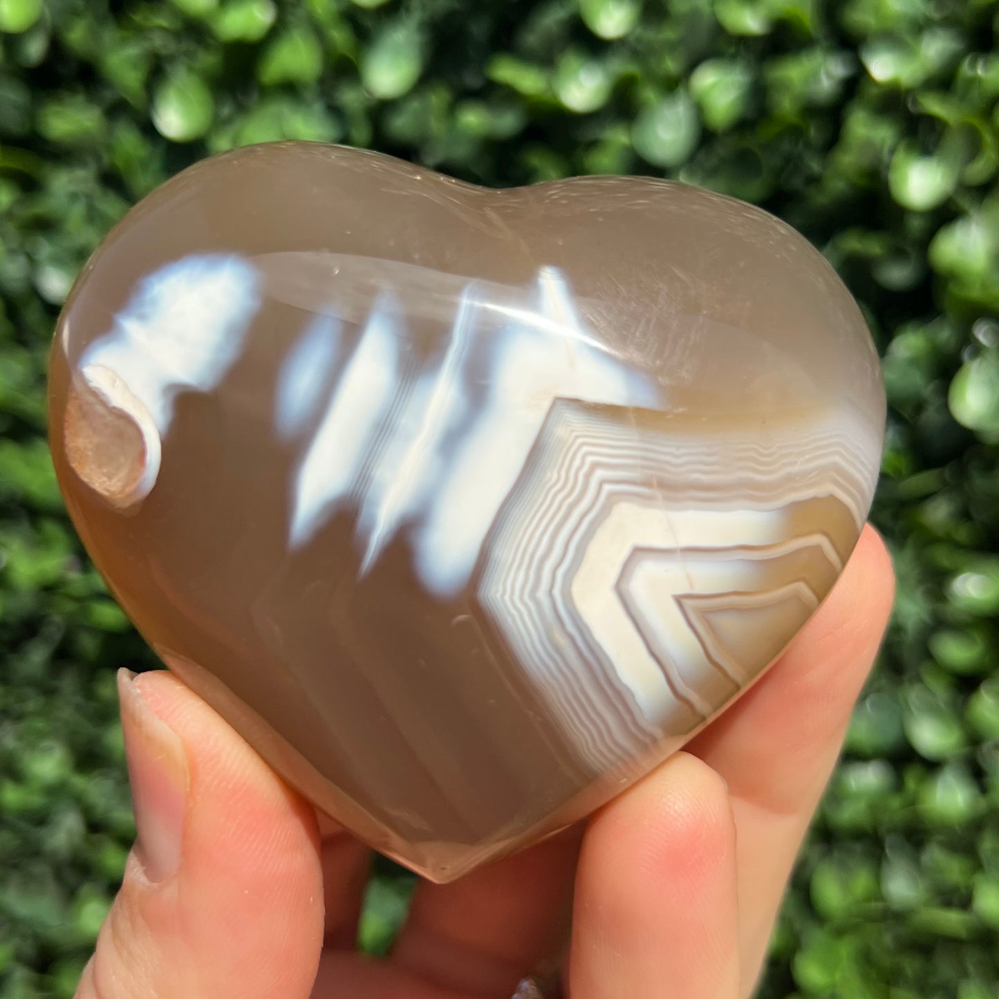 Orca Agate Heart