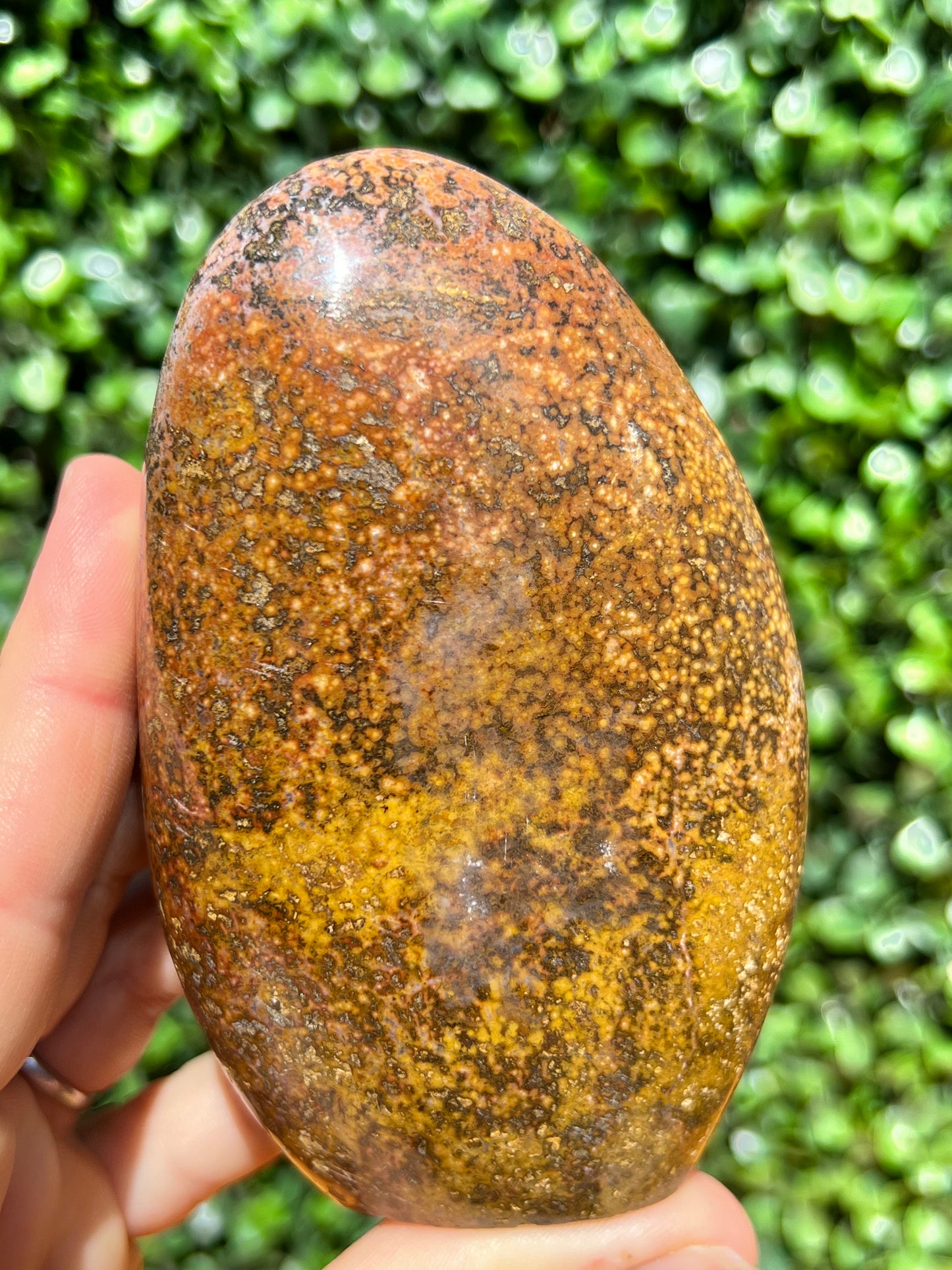 Ocean Jasper Free Form