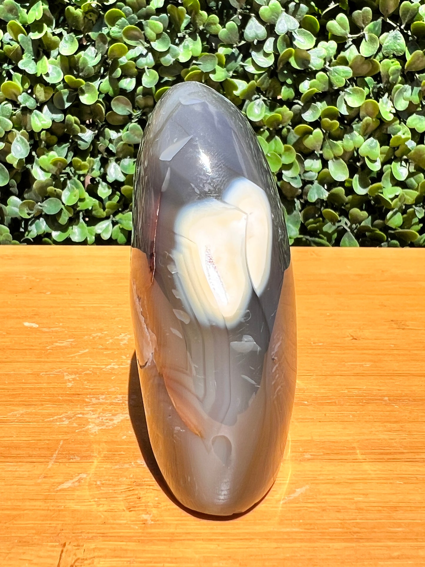 Orca Agate Free Form