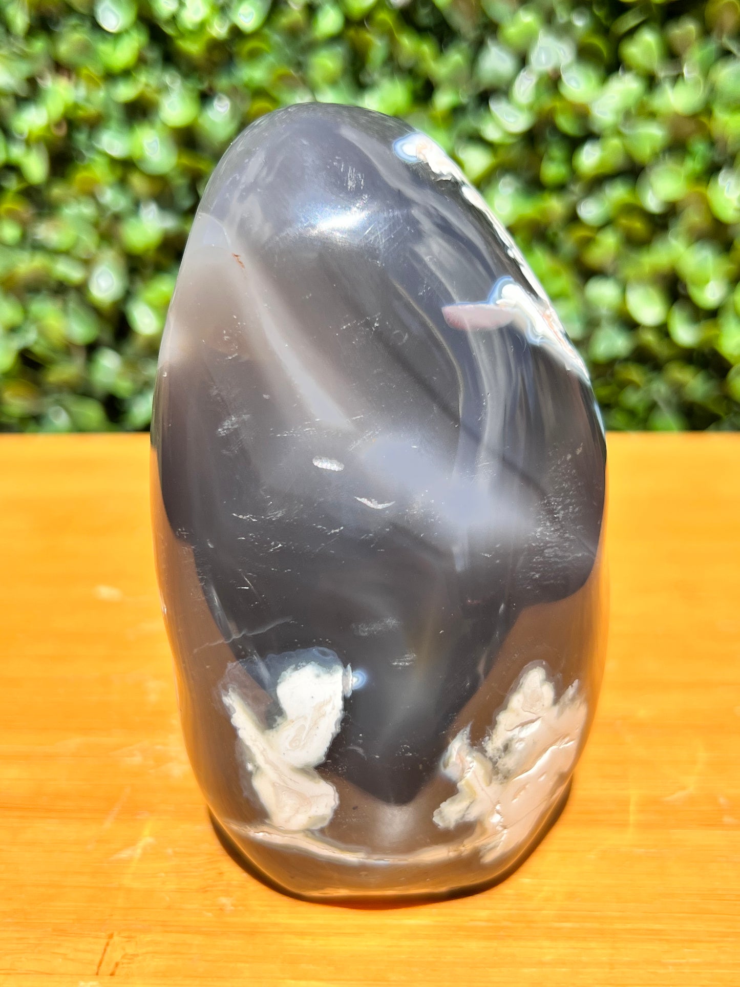 Orca Agate Free Form