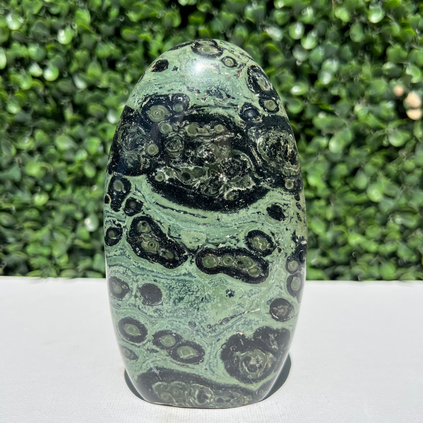 Kambaba Jasper Free Form