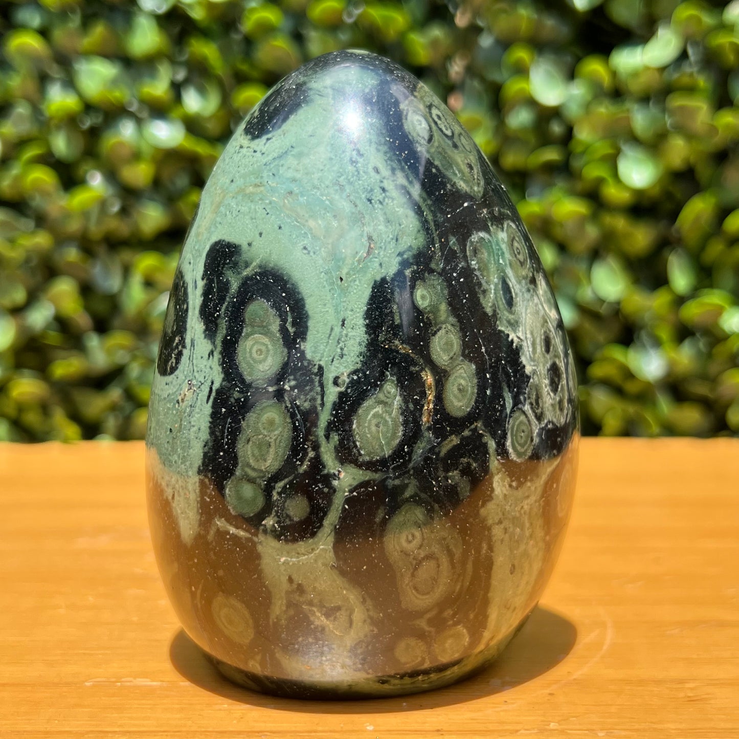 Kambaba Jasper Free Form