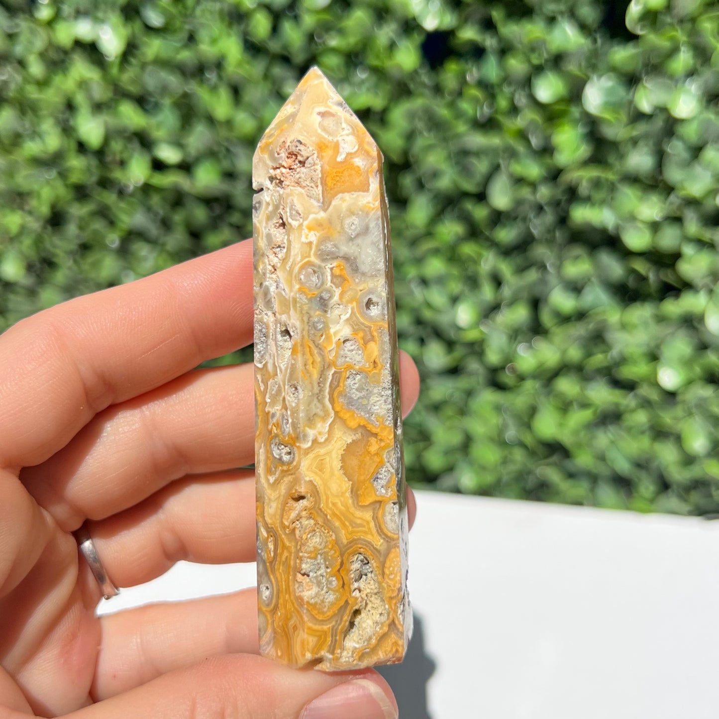 Crazy Lace Agate Point
