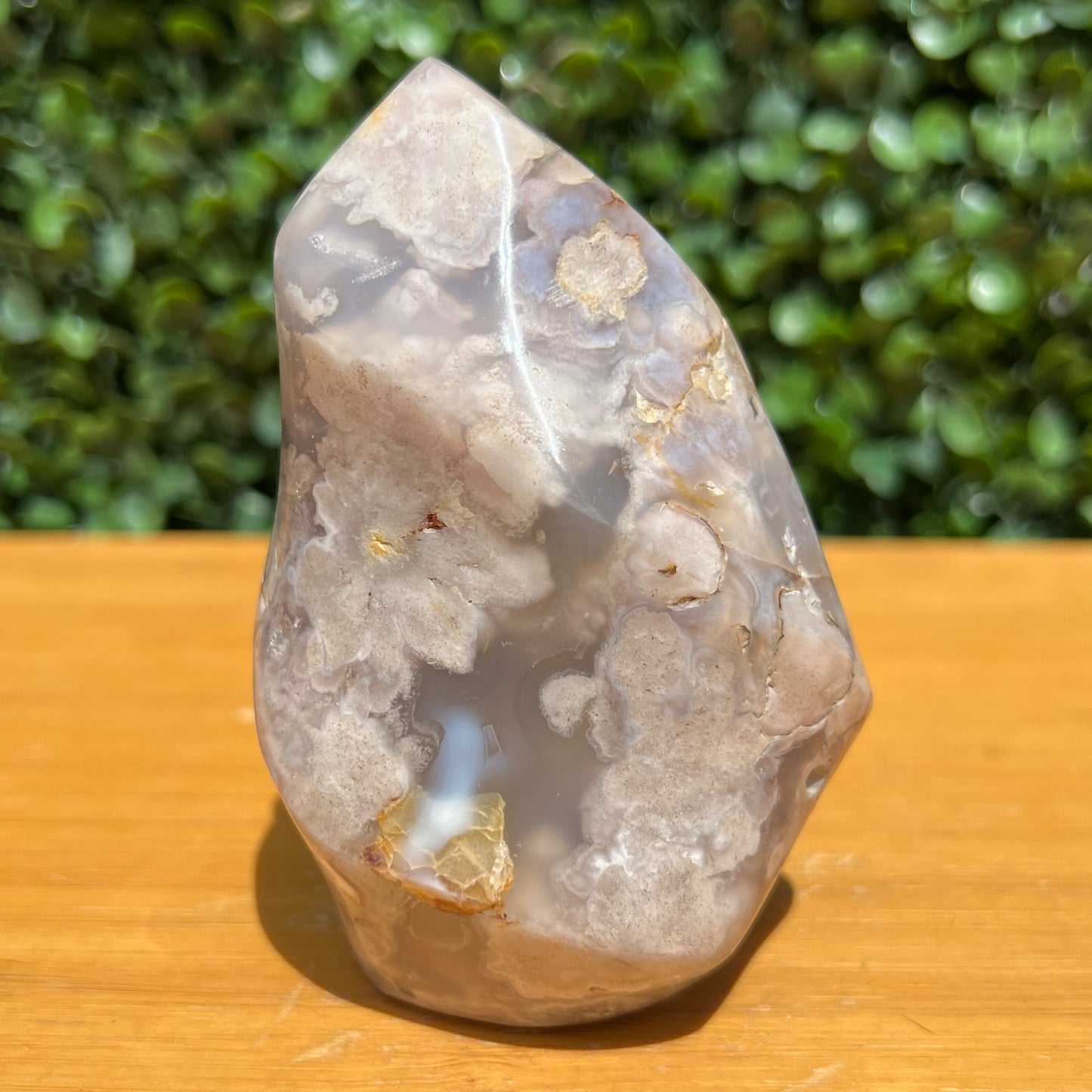 Flower Agate Flame