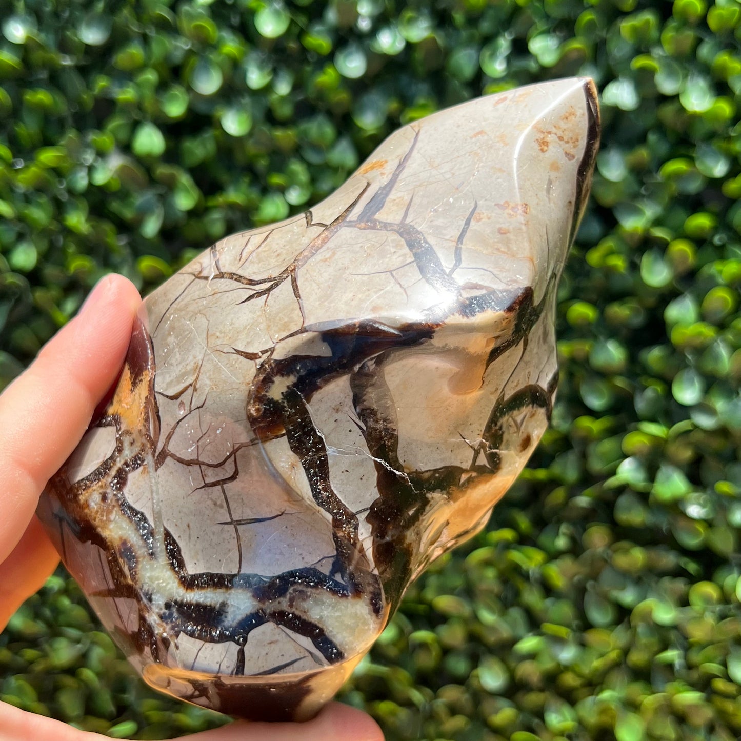Septarian Yellow Calcite Flame