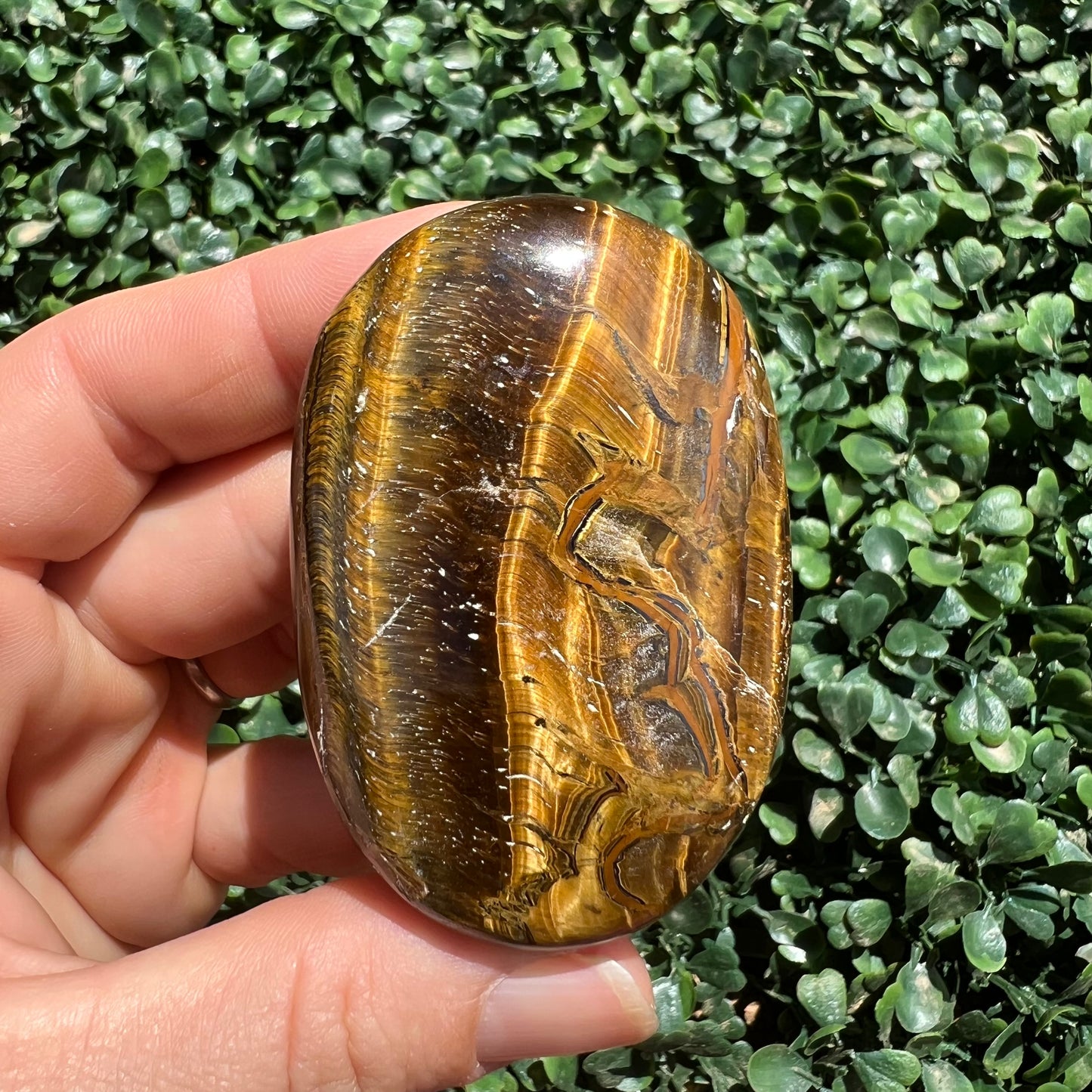 Tiger's Eye Palm Stone