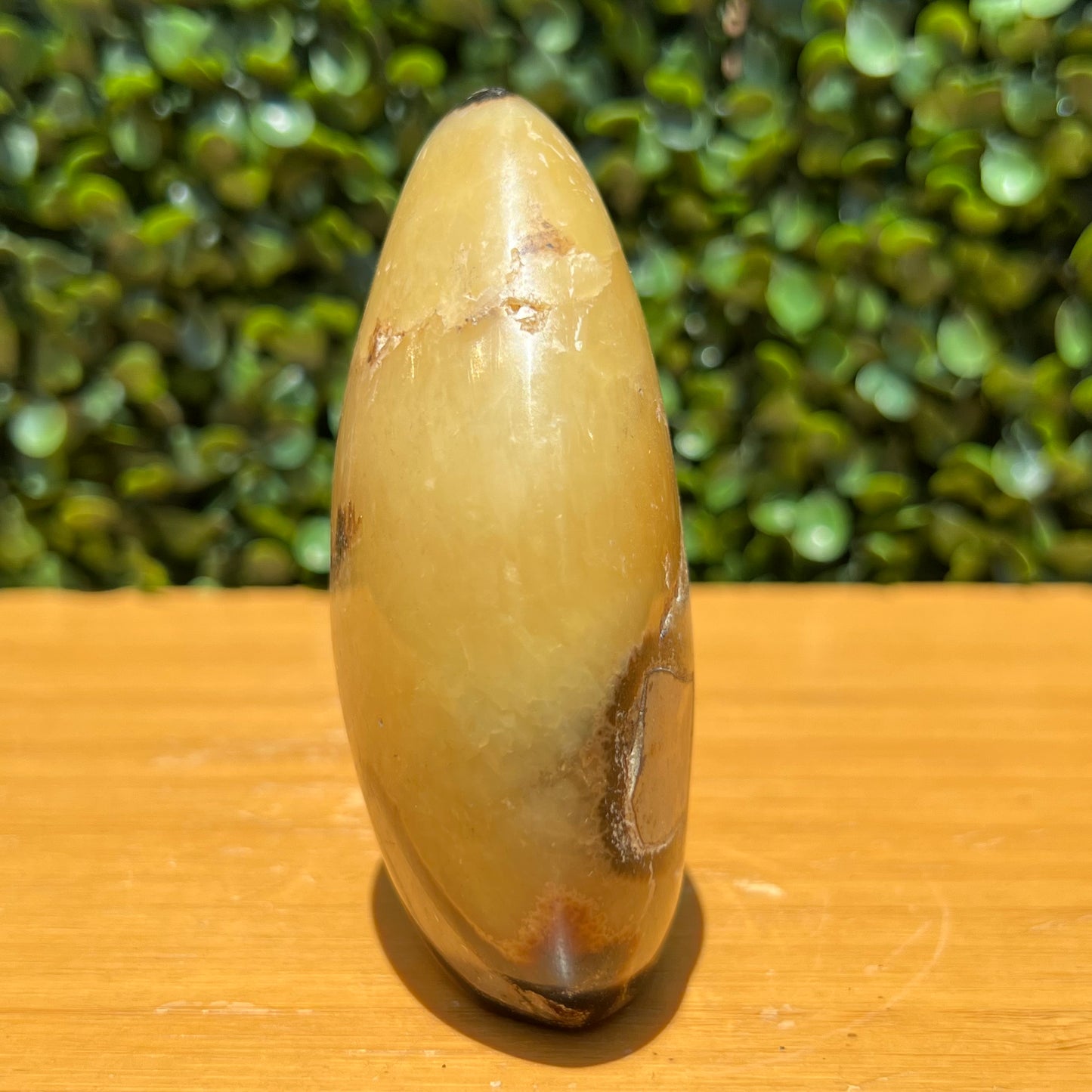 Septarian Yellow Calcite Free Form