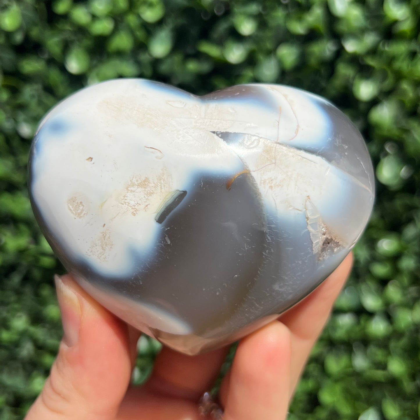 Orca Agate Heart