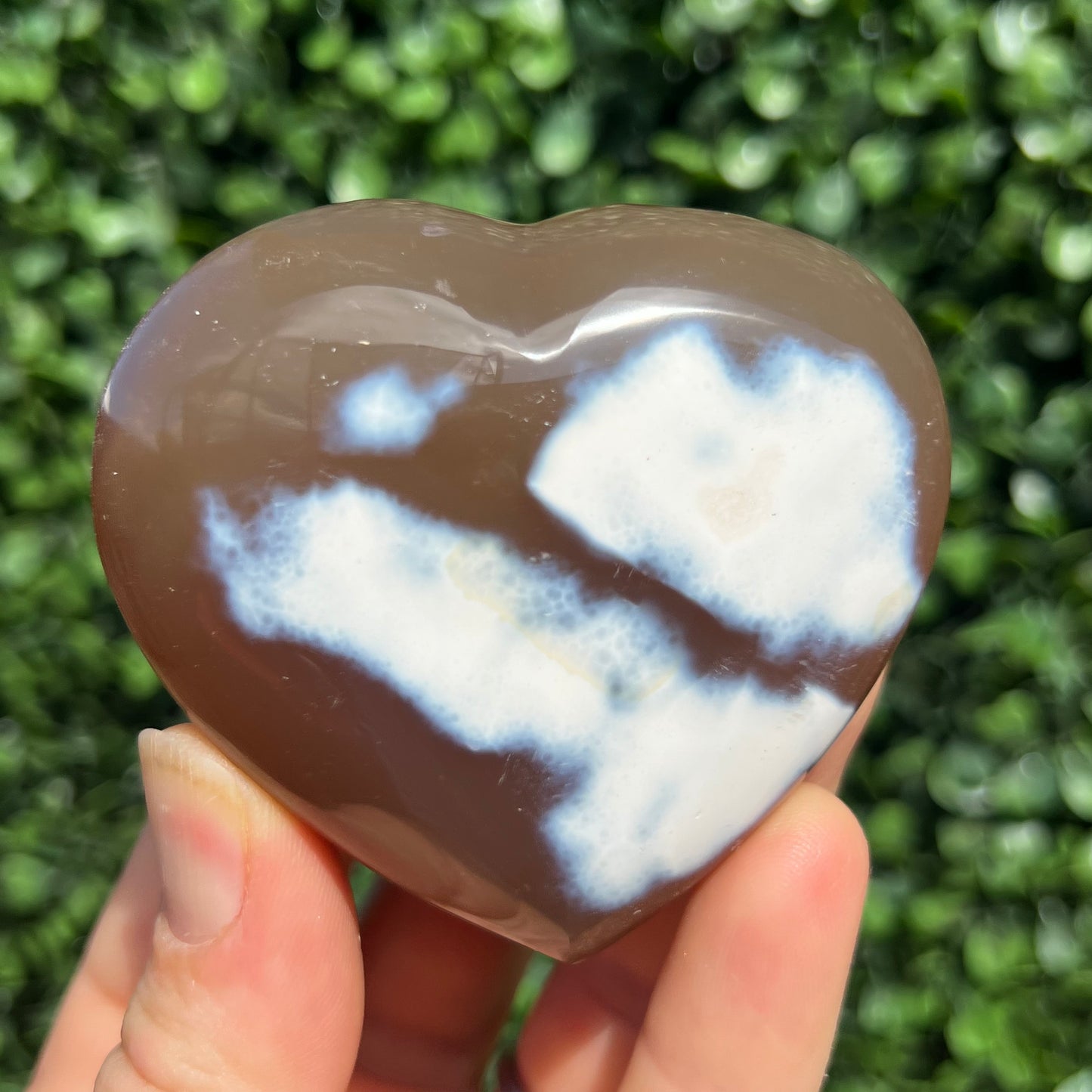 Orca Agate Heart