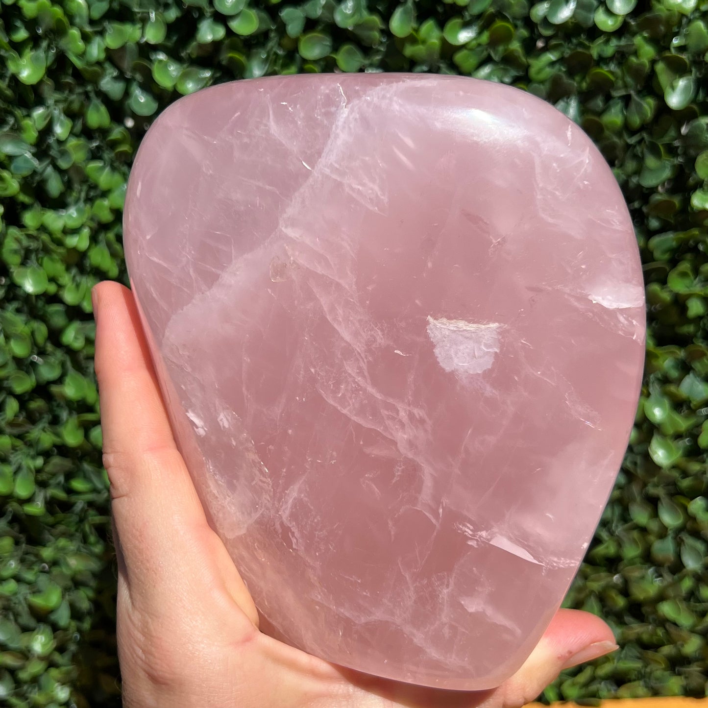 Rose Quartz Free Form
