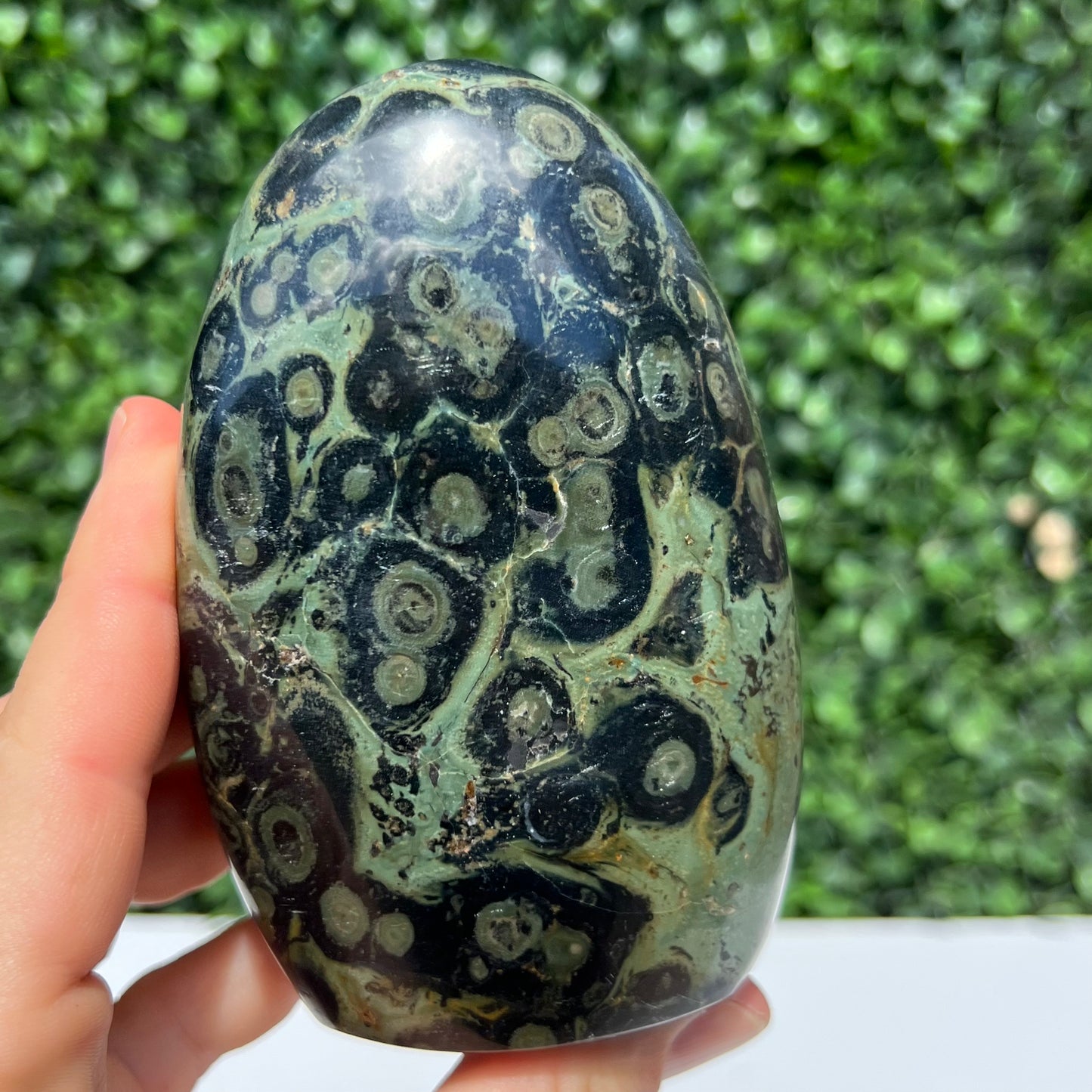 Kambaba Jasper Free Form