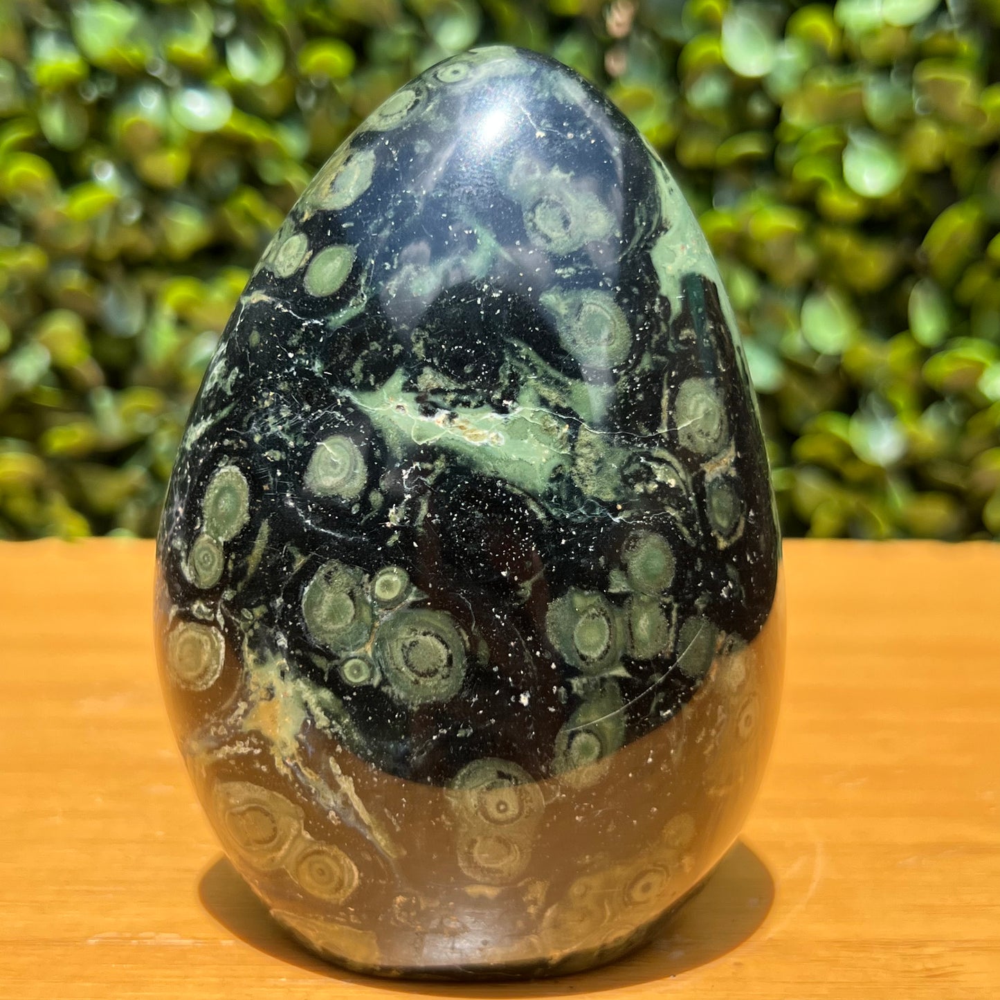 Kambaba Jasper Free Form