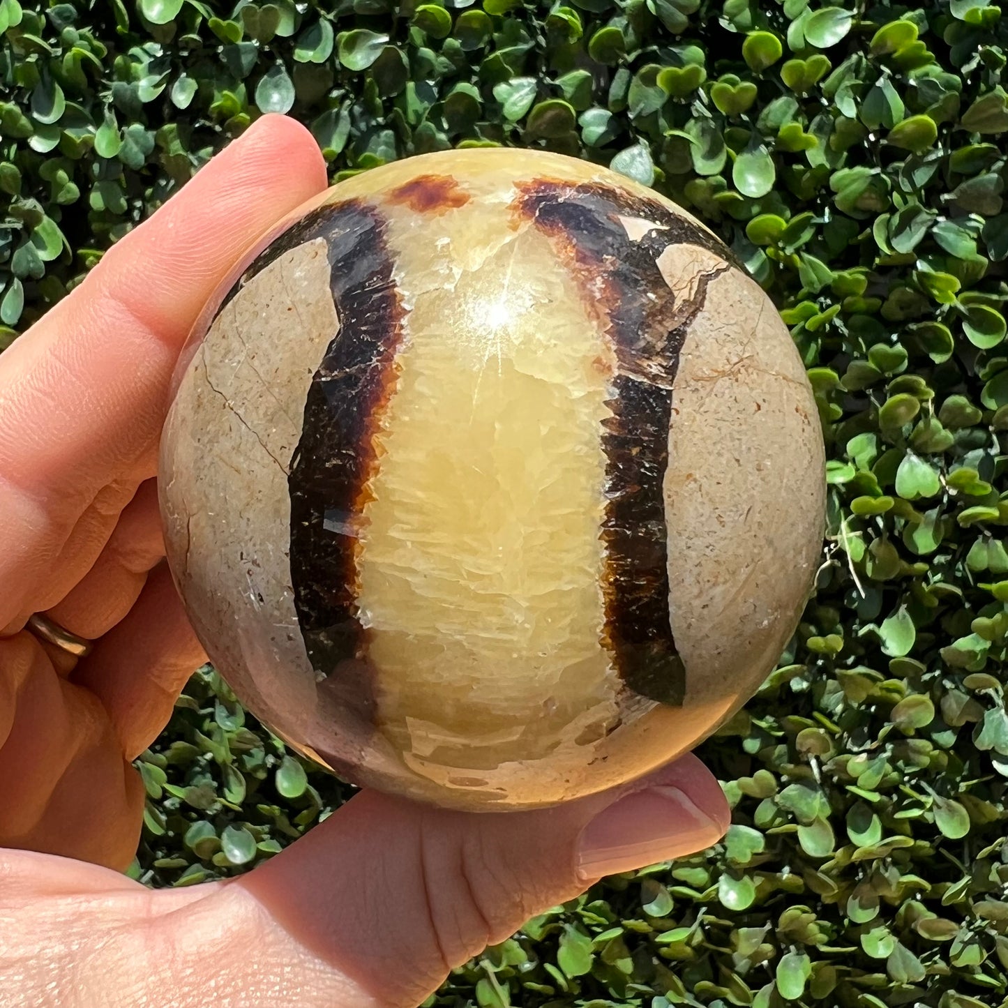 Septarian Yellow Calcite Sphere