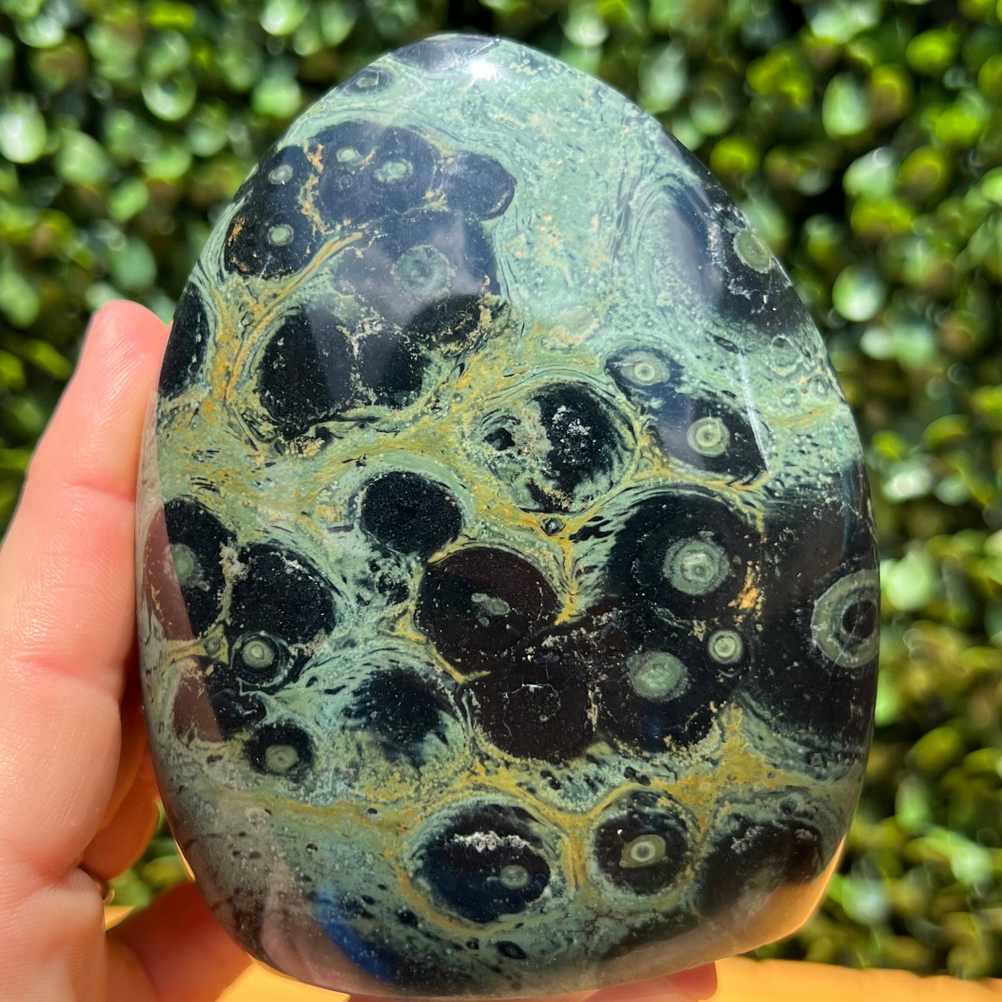 Kambaba Jasper Free Form