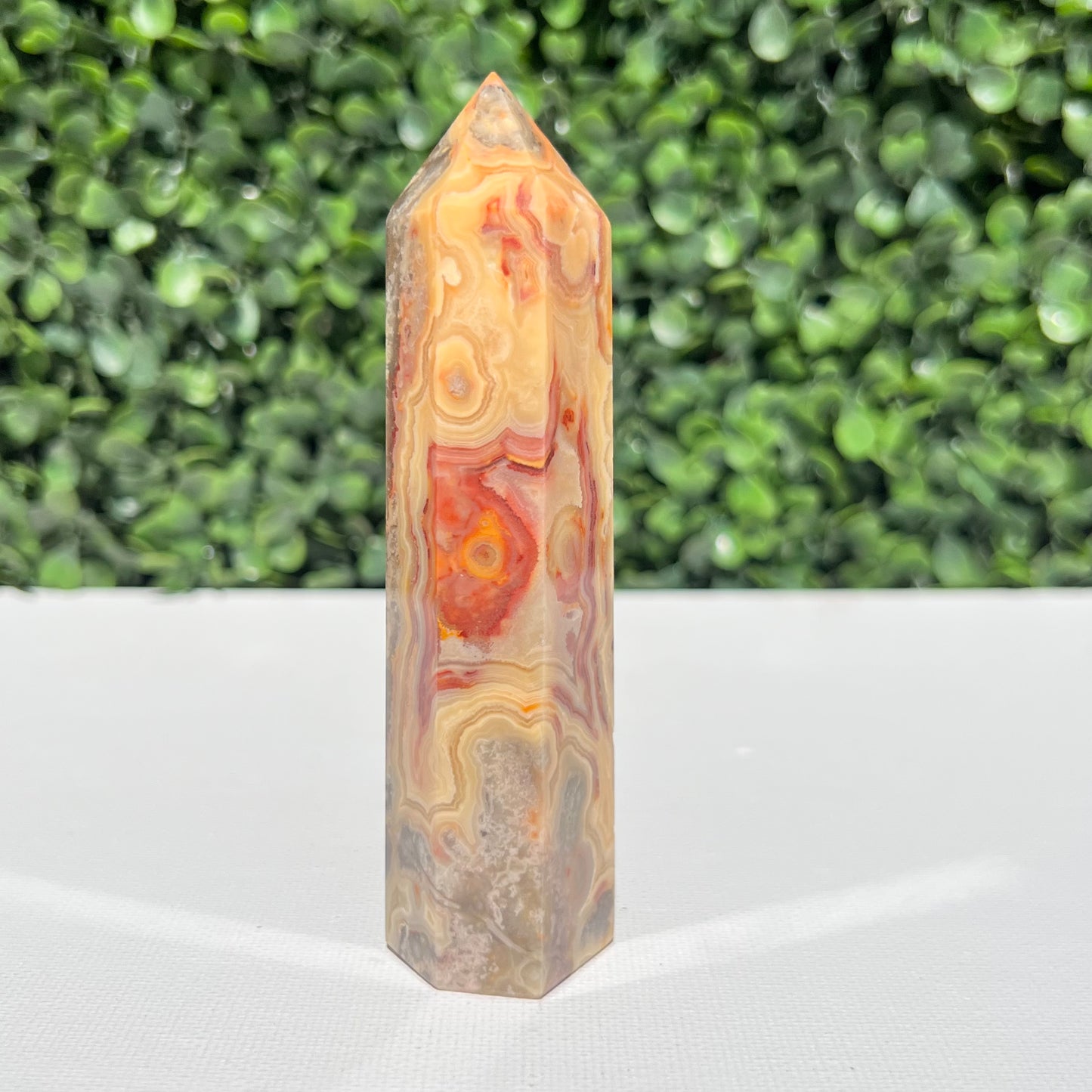 Crazy Lace Agate Point