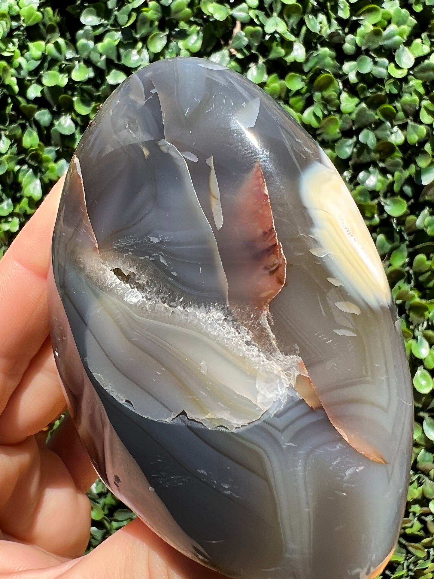 Orca Agate Free Form