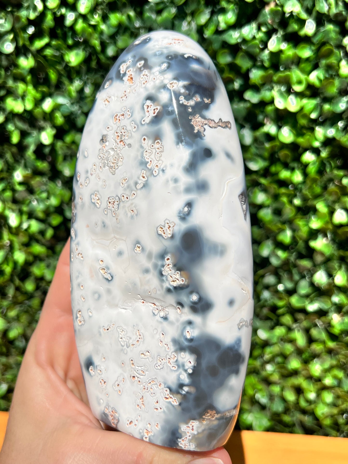 Orca Agate Free Form
