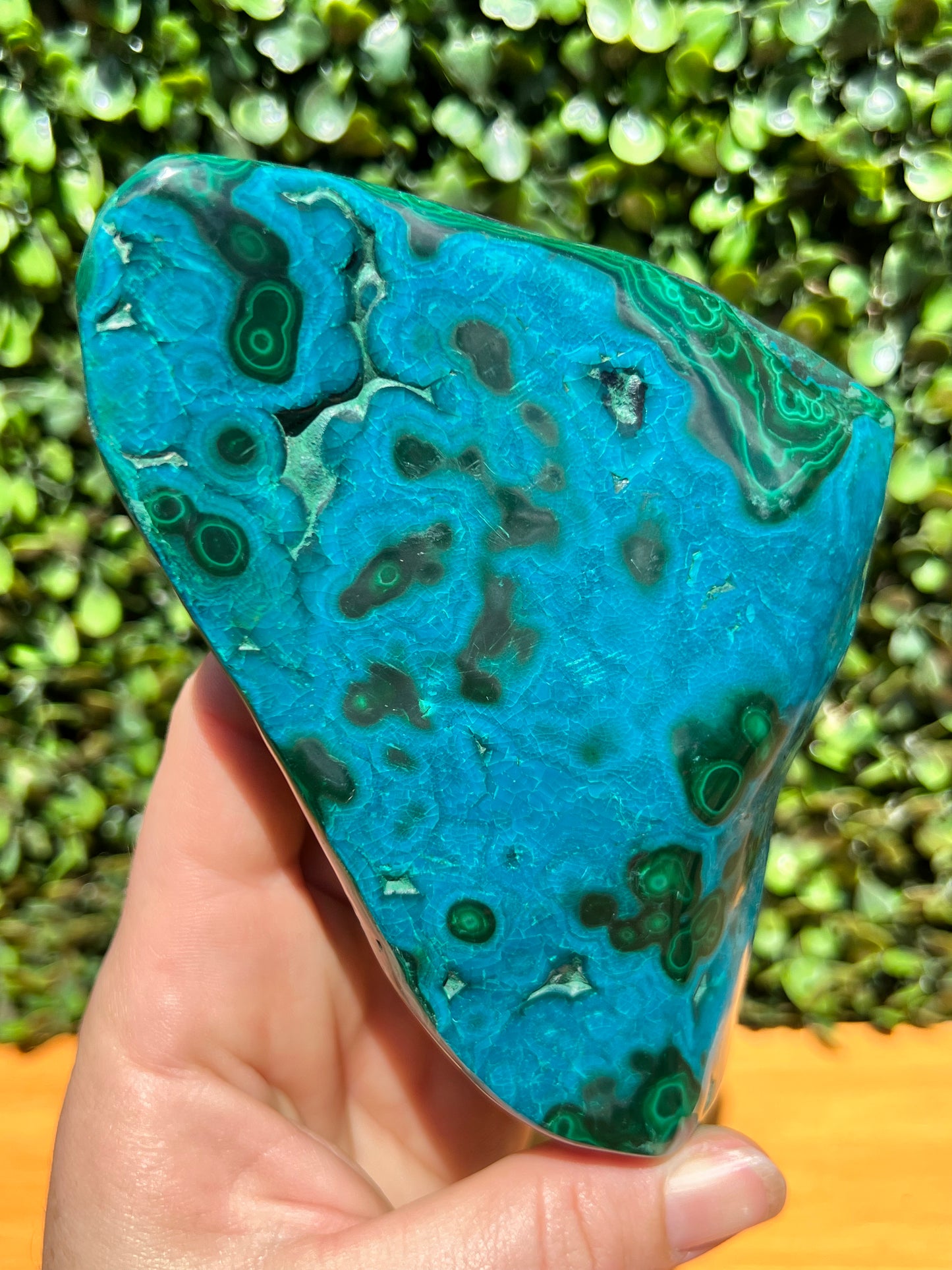 Chrysocolla Malachite Free Form
