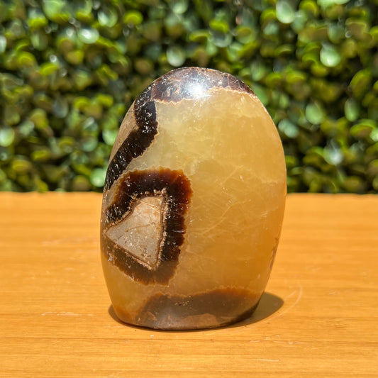 Septarian Yellow Calcite Free Form