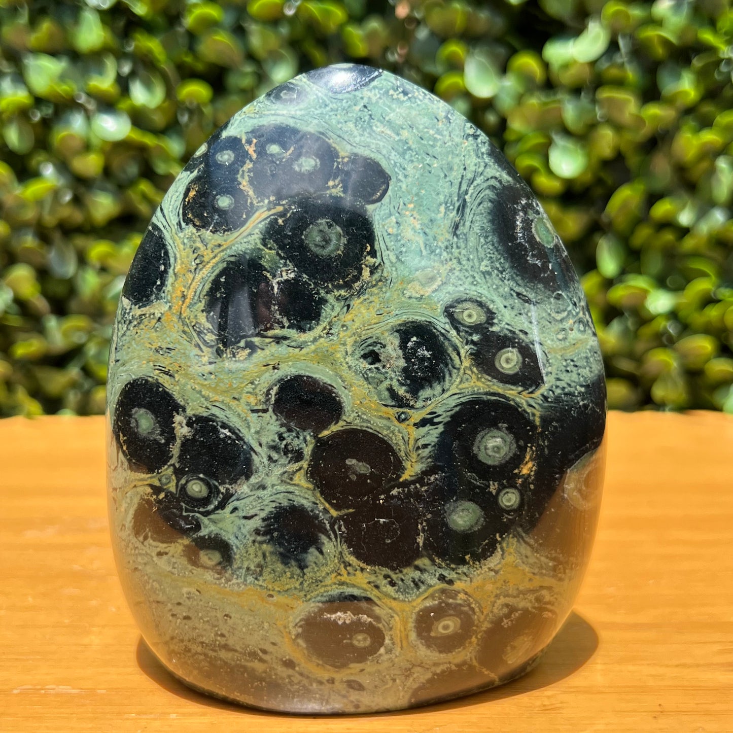 Kambaba Jasper Free Form