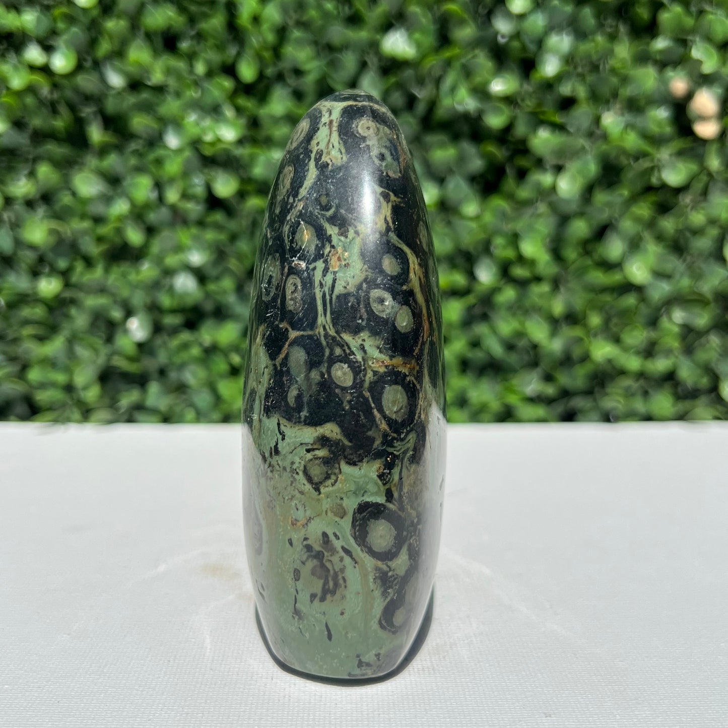 Kambaba Jasper Free Form