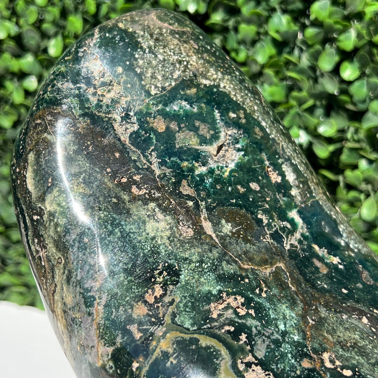 Ocean Jasper Free Form