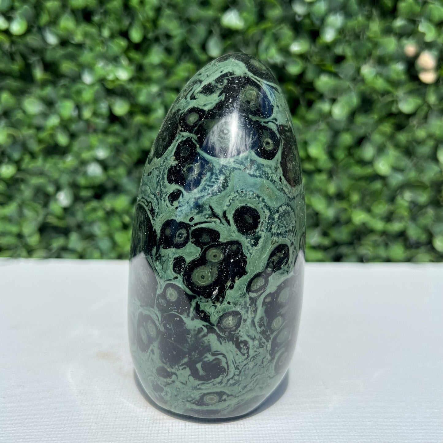 Kambaba Jasper Free Form