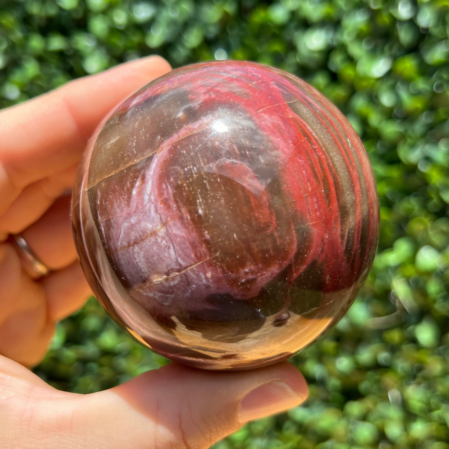 Petrified Wood Sphere