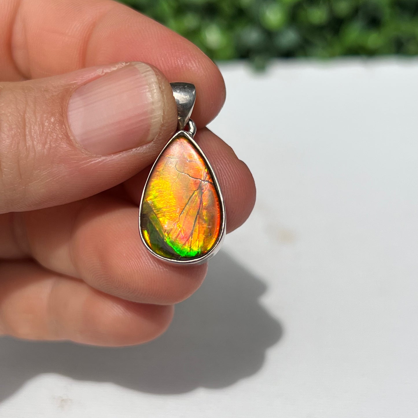 Ammonite 925 Silver Pendant