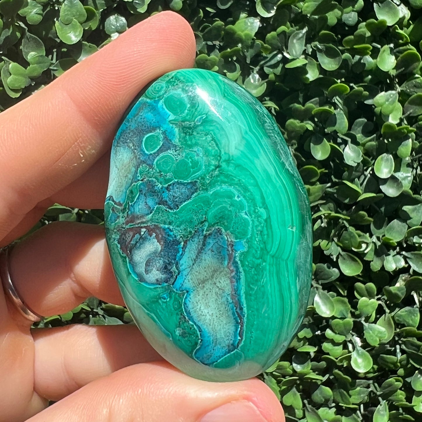 Chrysocolla Malachite Palm Stone