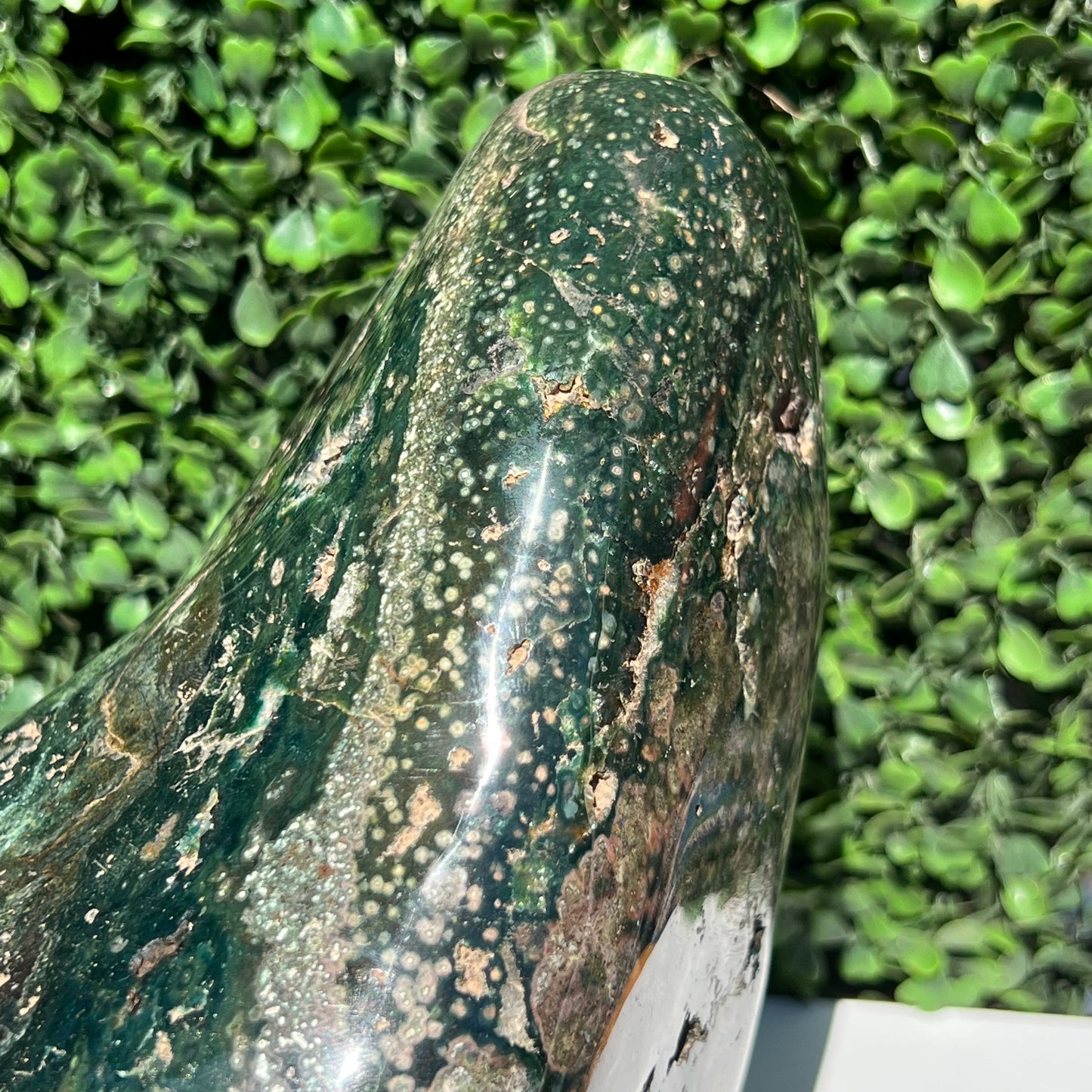 Ocean Jasper Free Form