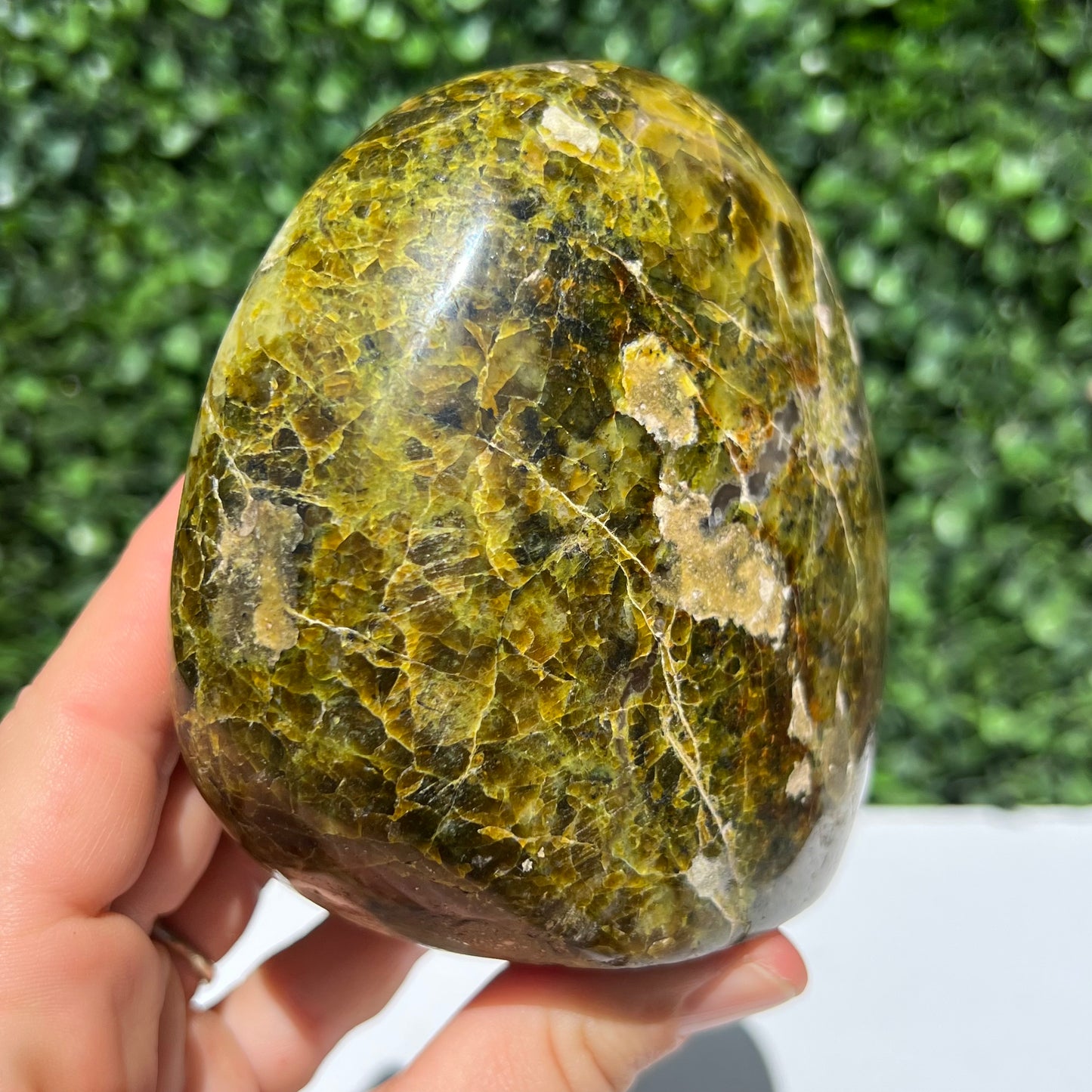 Kiwi Opal Free Form