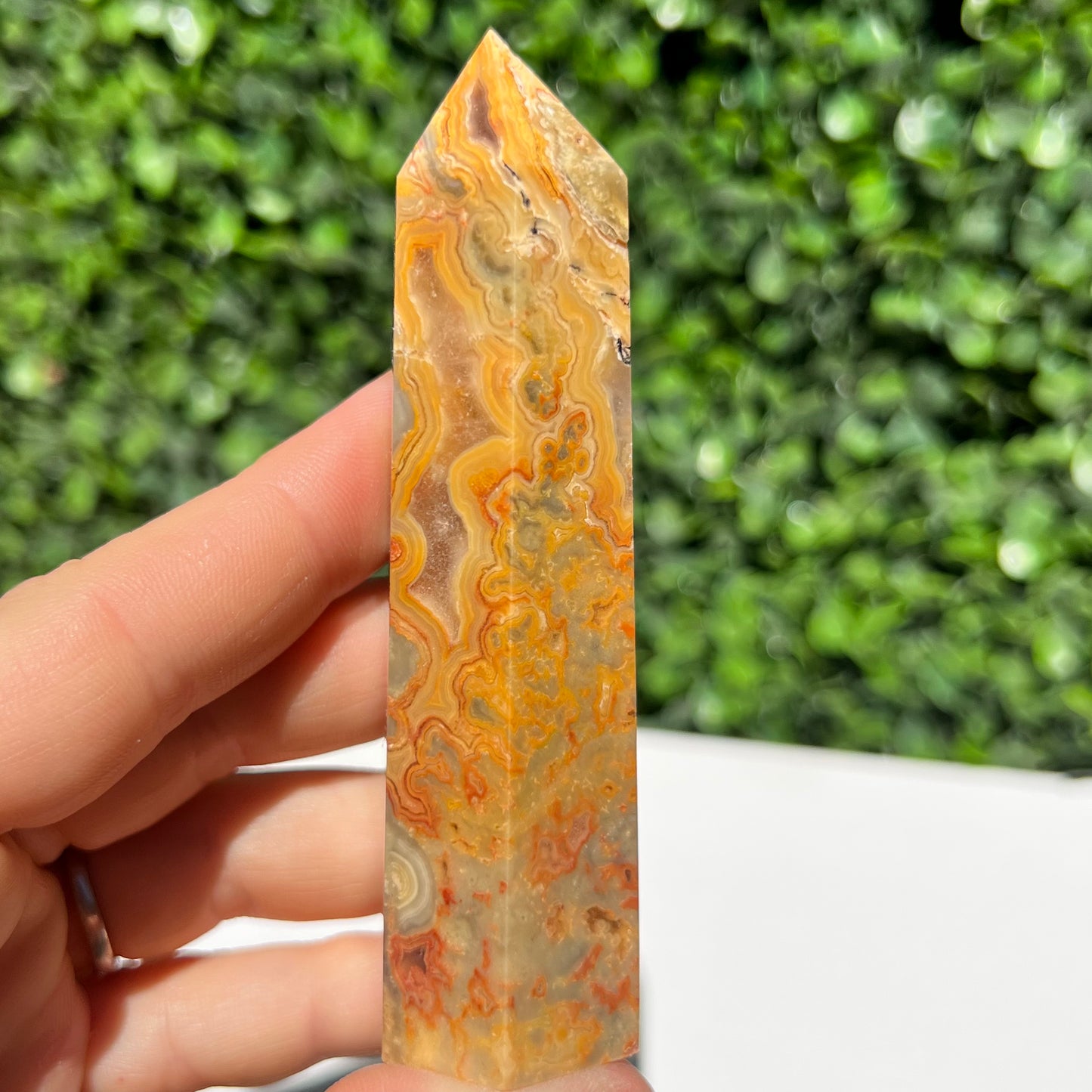 Crazy Lace Agate Point