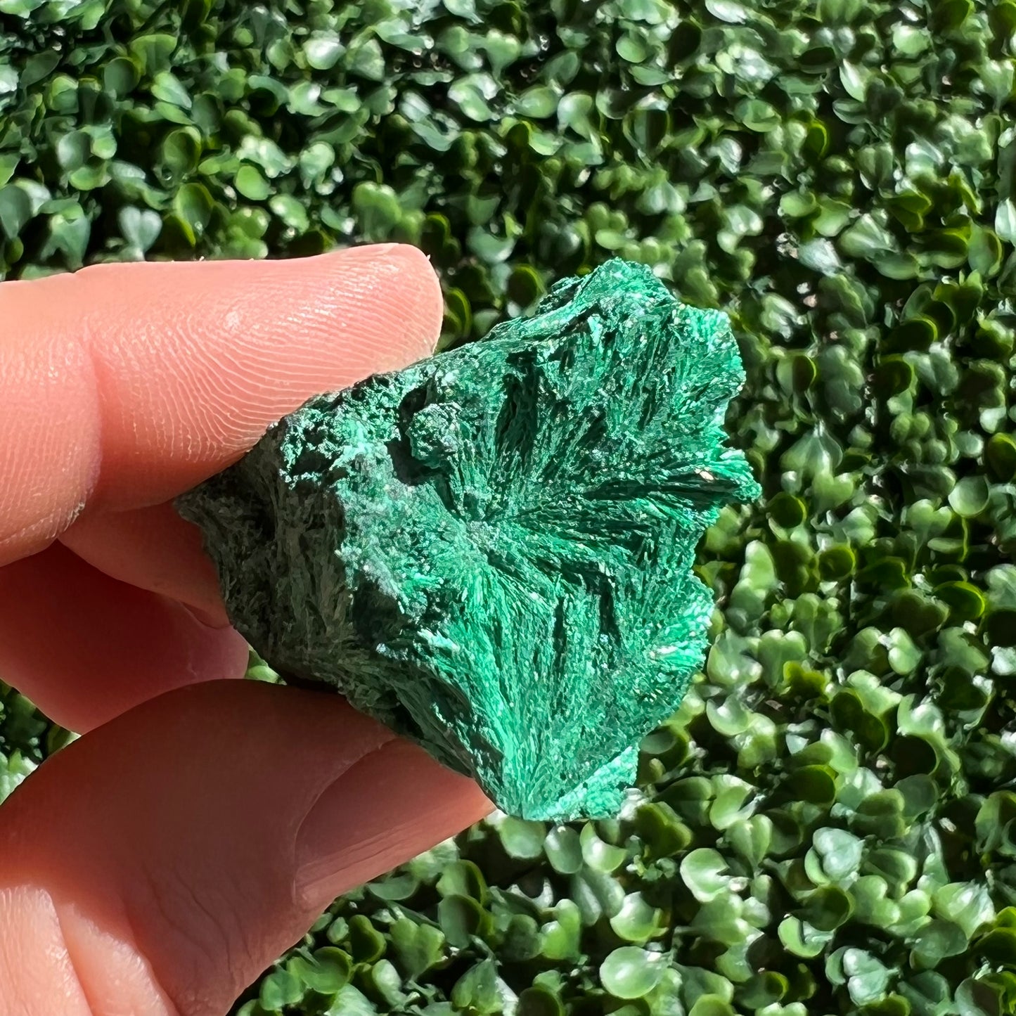 Fibrous Malachite Specimen