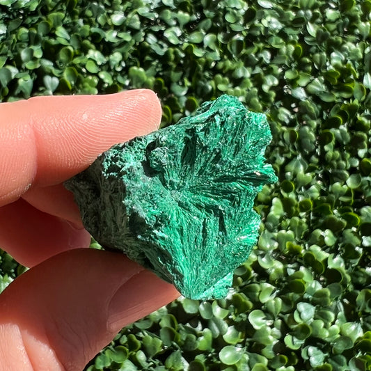Fibrous Malachite Specimen