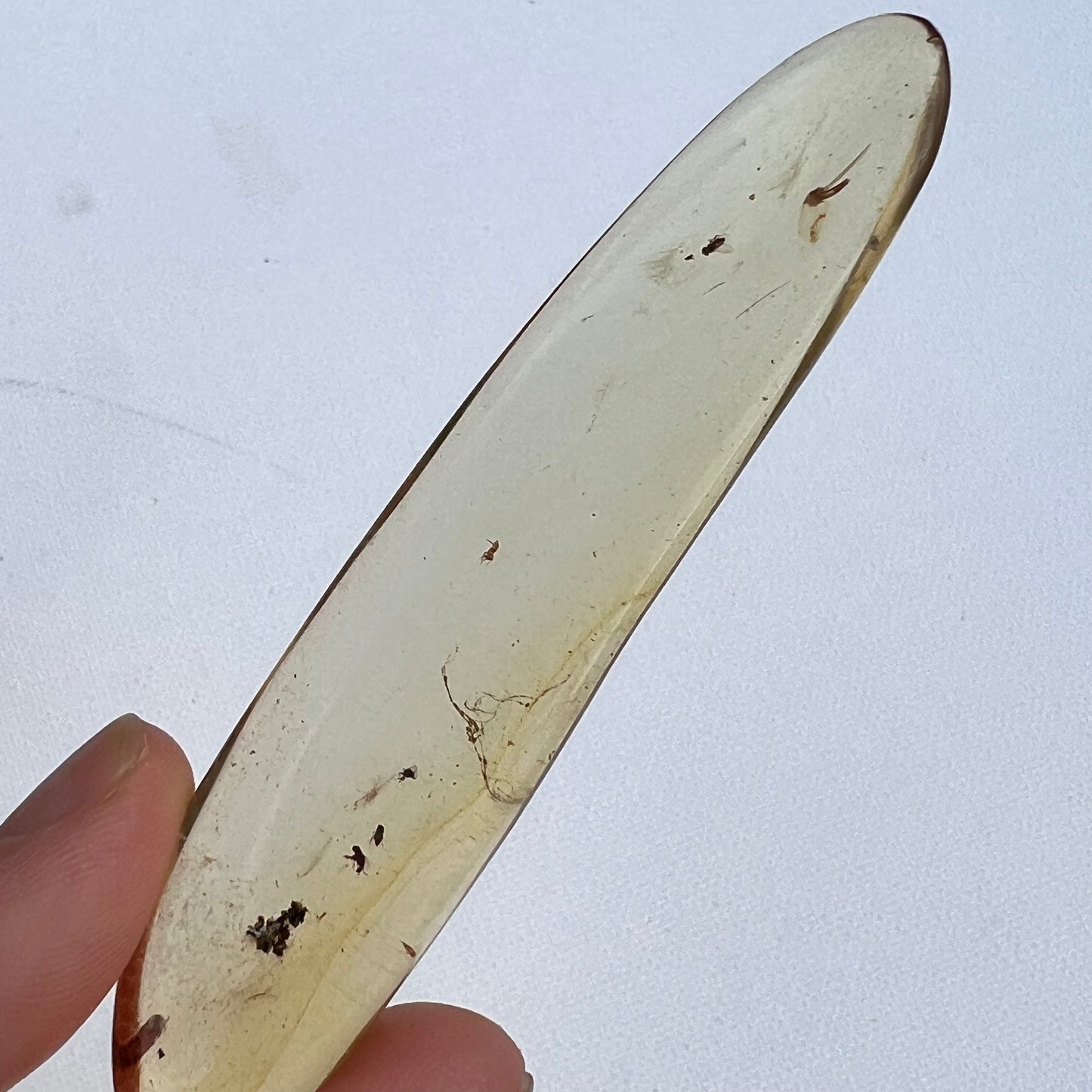 COPAL AMBER RARE SPECIMEN