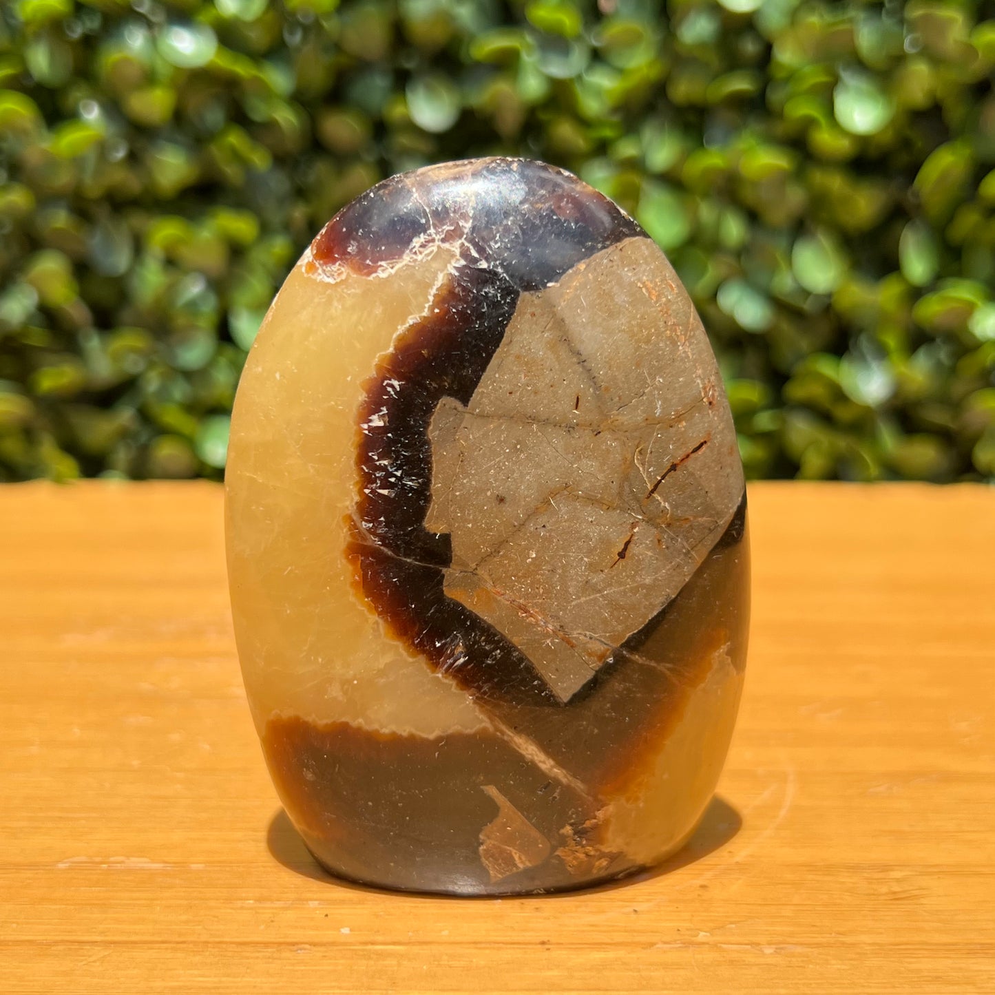 Septarian Yellow Calcite Free Form
