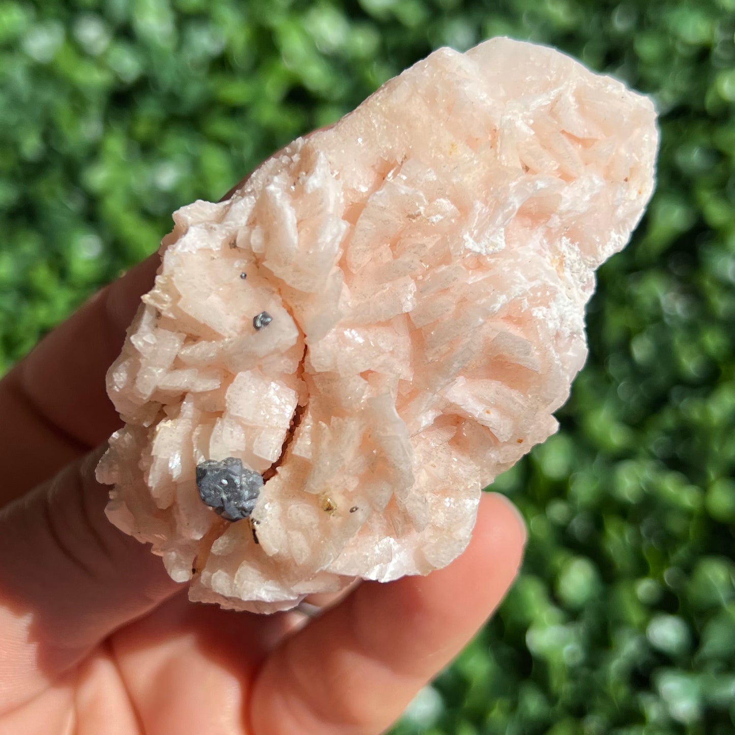 Pink Dolomite Specimen