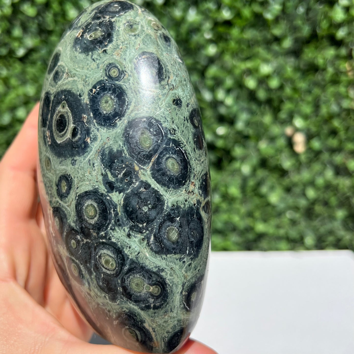 Kambaba Jasper Free Form