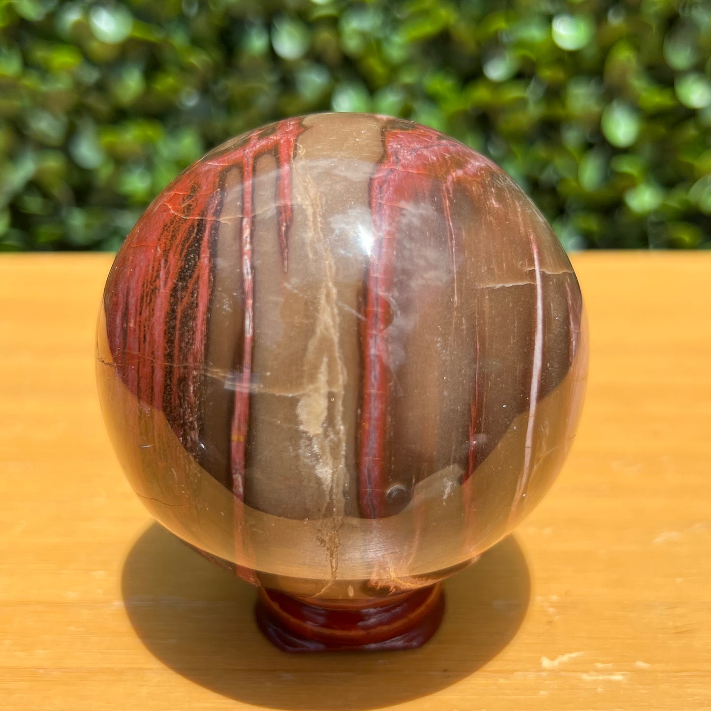 Petrified Wood Sphere