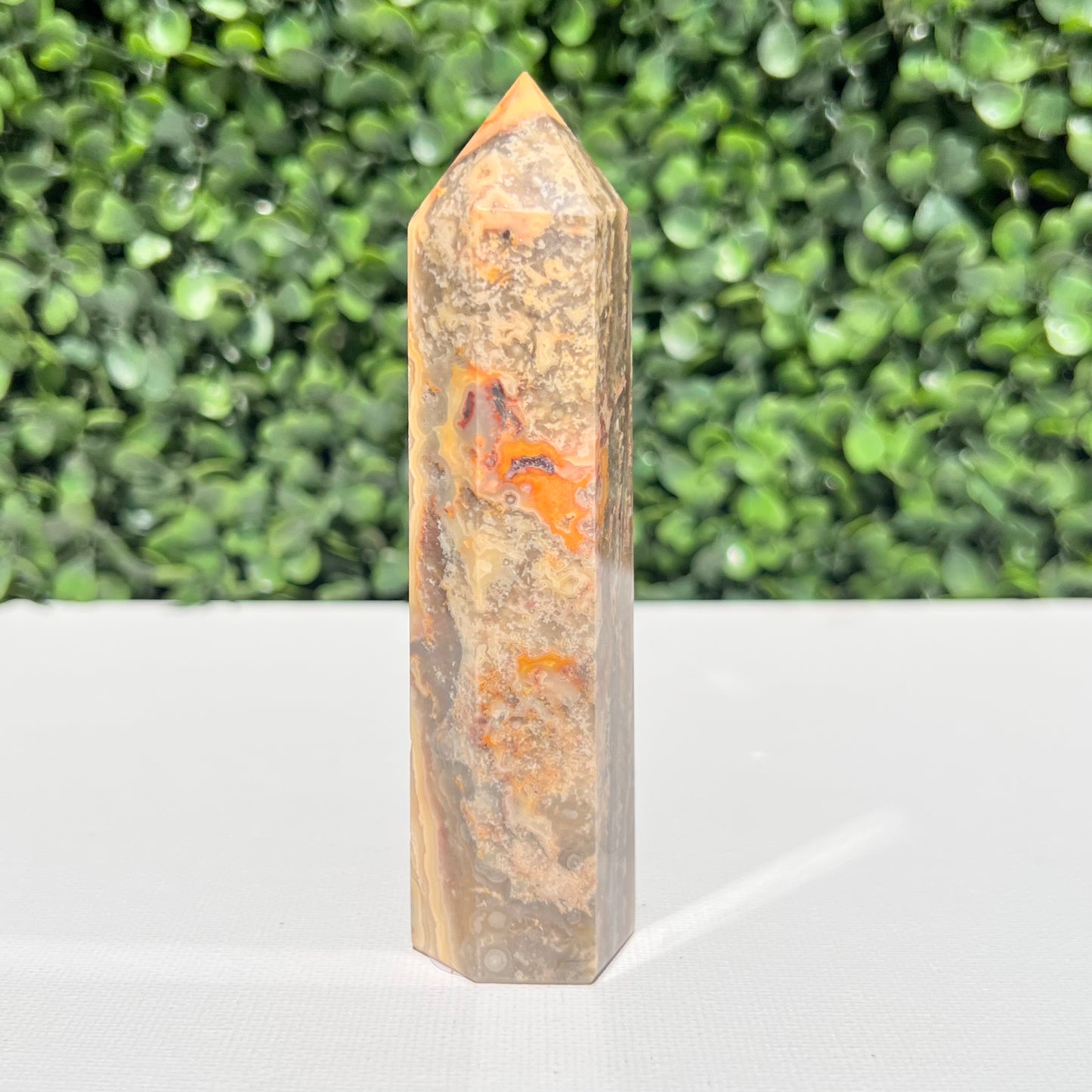 Crazy Lace Agate Point