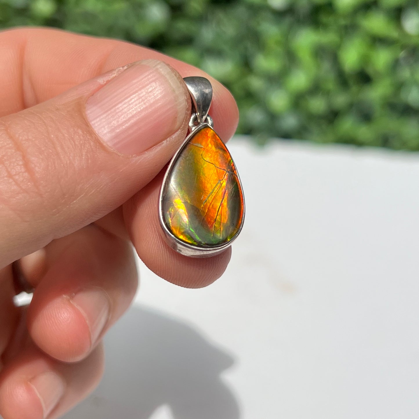 Ammonite 925 Silver Pendant