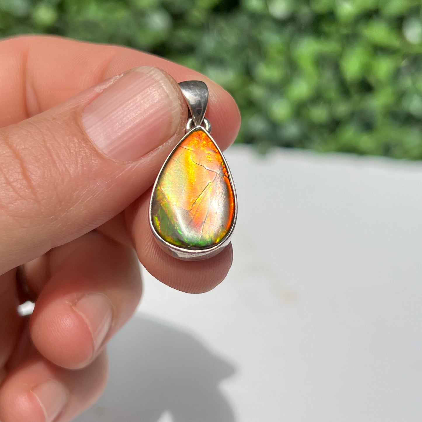 Ammonite 925 Silver Pendant