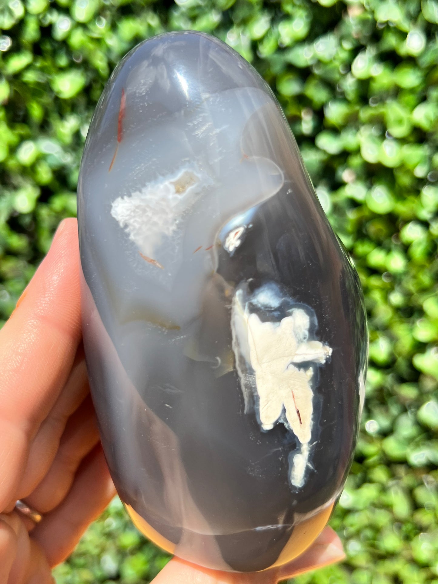 Orca Agate Free Form